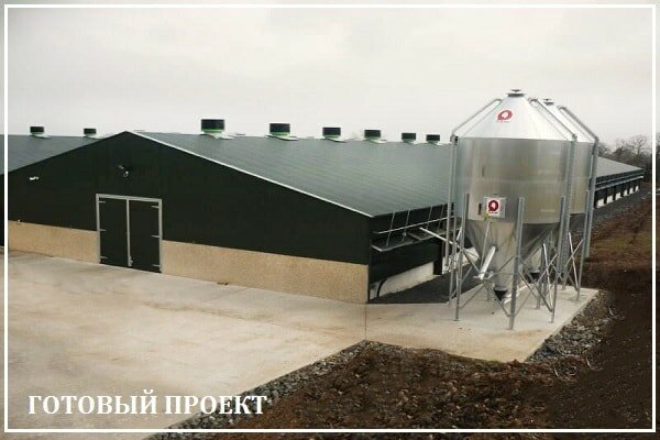 Этапы возведения птицефабрики от завода ВелесТент-нву